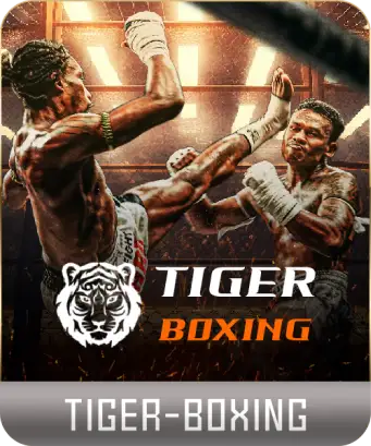 TIGER-BOXING-1