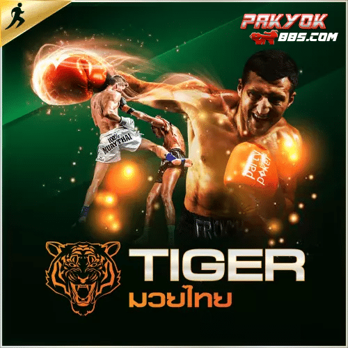 มวยพักยกtiger